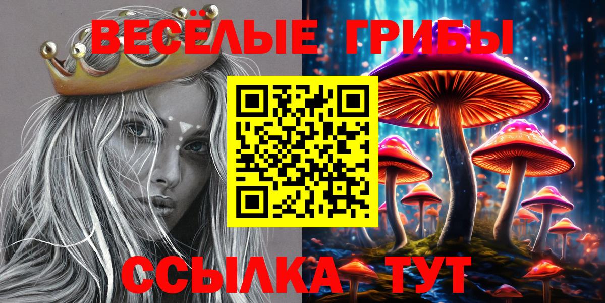 Галлюциногенные грибы мицелий  Вход с VPN  Краснодар 